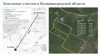 Участок 108 га для размещения производственного комплекса в Калининградской обл.